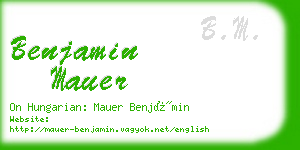 benjamin mauer business card